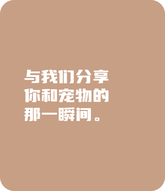 米兰宠物，无处不在