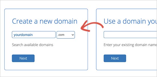 choose-domain-name