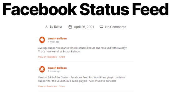 custom-facebook-status-feed-example-1