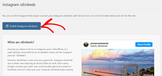 enable-instagram-oembeds-button