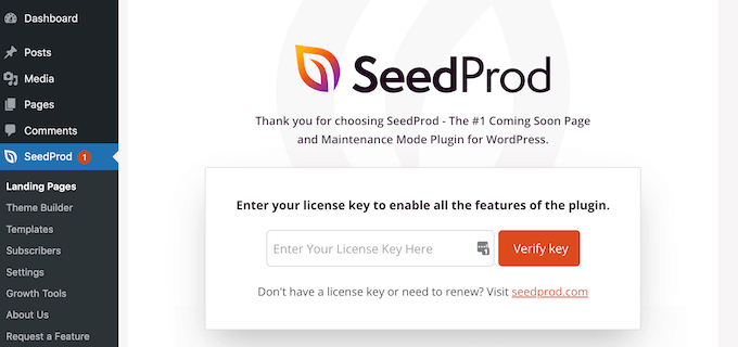 seedprod-license-key-1