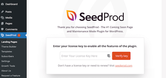 seedprod-license-key