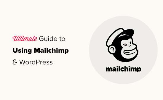 using-mailchimp-wordpress-og-1