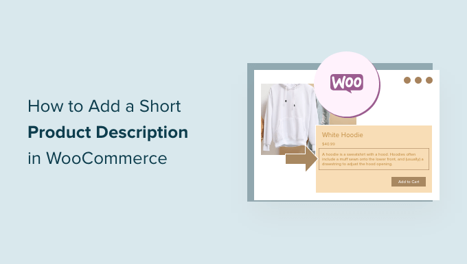 如何在 WooCommerce 中添加简短的产品描述