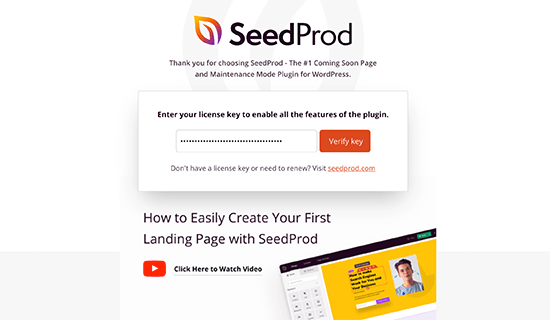 SeedProd 许可证密钥