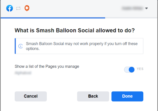 允许 Smash Balloon 使用该页面