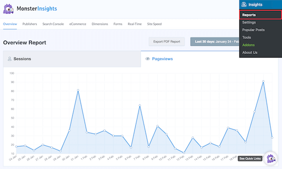 MonsterInsights 了解 WordPress 流量