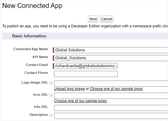 输入 Salesforce 应用程序的详细信息