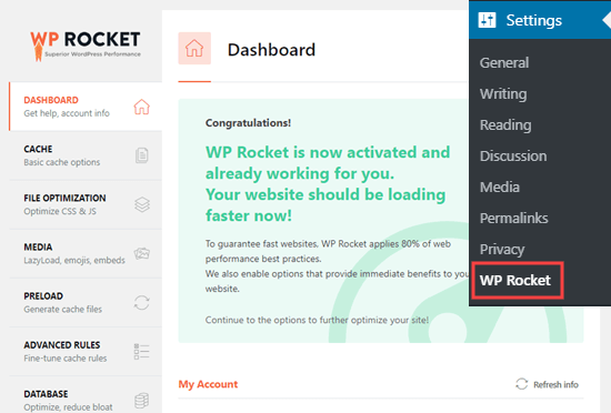 显示 WP Rocket 处于活动状态并在您的站点上工作的消息