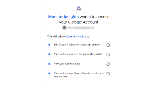 允许 Monsterinsights 访问谷歌帐户