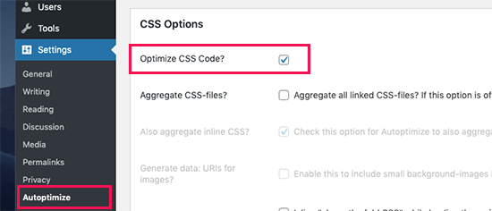 在 Autooptimize 中优化 CSS