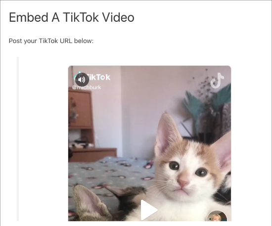 嵌入的 TikTok 视频
