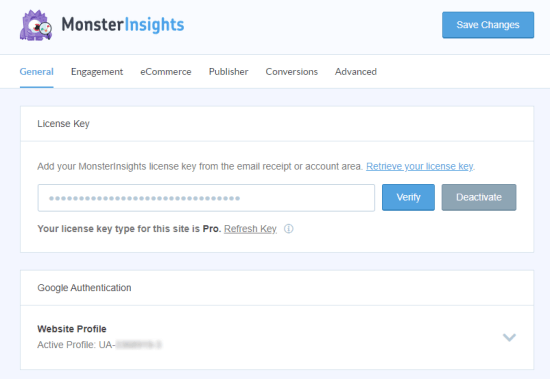 在 MonsterInsights 中输入您的许可证号