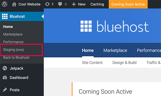 Bluehost 上的暂存站点选项