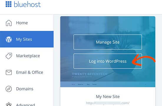 Bluehost 登录到您的 WordPress 网站