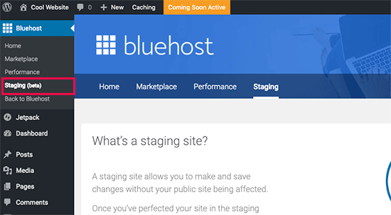 在 Bluehost 中创建临时站点