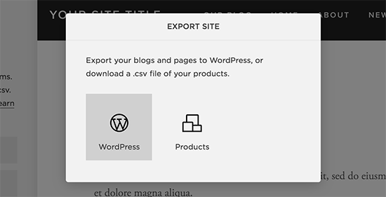 以 WordPress 格式导出 Squarespace 数据