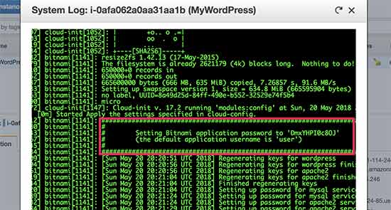 复制您的 WordPress 密码