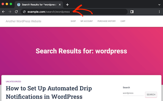 自定义 WordPress 搜索 slug URL