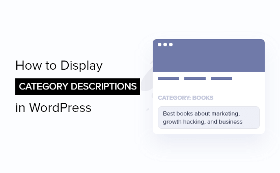 如何在 WordPress 中显示类别描述
