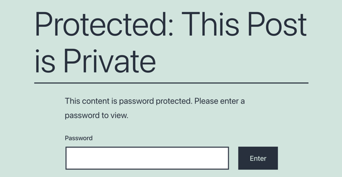 密码保护页面