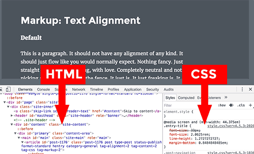 检查窗口中的 HTML 和 CSS 窗格