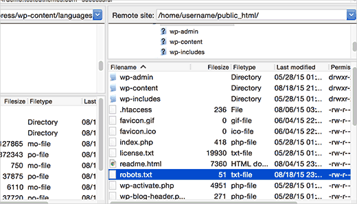 使用 FTP 客户端在 WordPress 站点上定位 robots.txt 文件