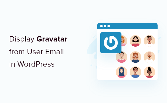 如何在 WordPress 中从用户电子邮件地址显示用户 Gravatar（一步一步）