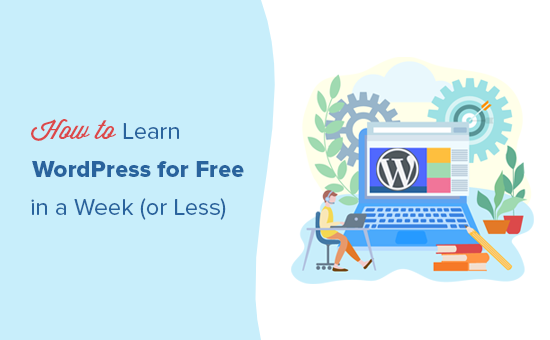 如何在一周内免费轻松学习 WordPress