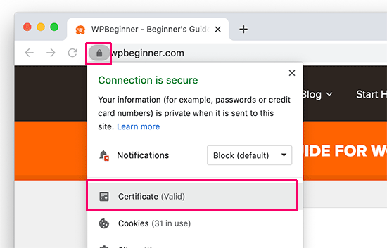 检查网站的 SSL 证书详细信息