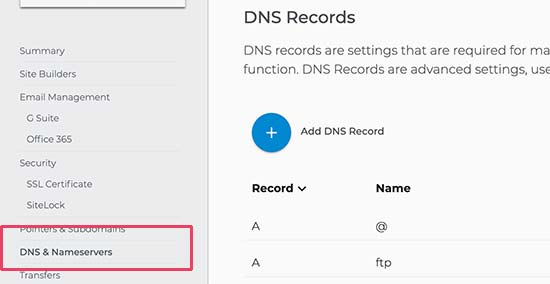 域 DNS 设置