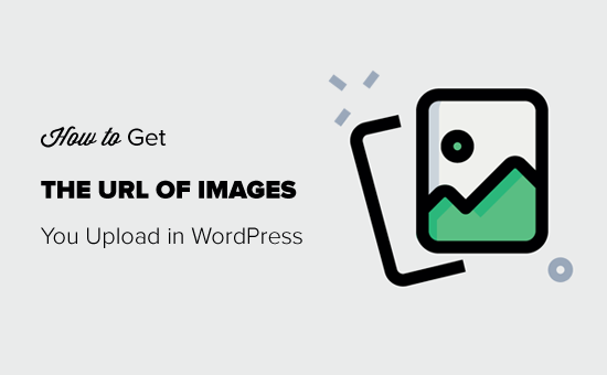 如何获取您在 WordPress 中上传的图片的 URL