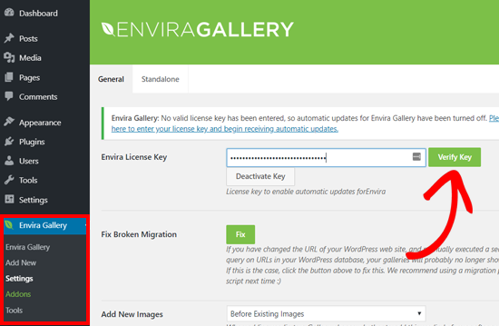 输入 Envira Gallery 许可证密钥