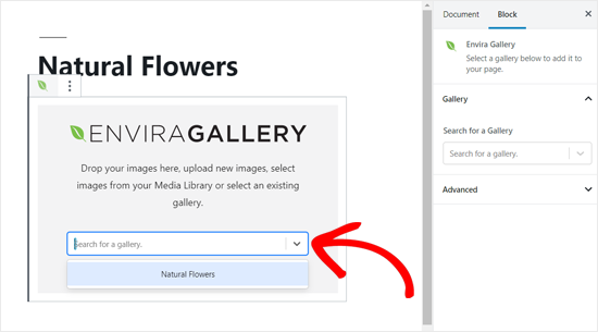 选择一个 Envira 画廊以添加到您的 WordPress 帖子中