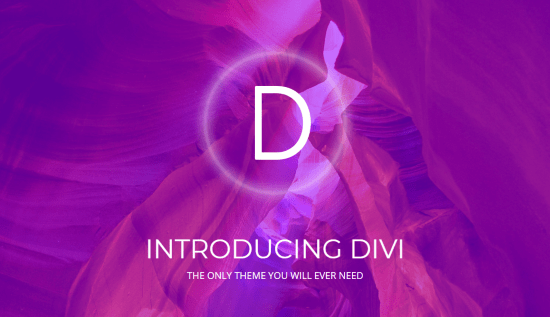 Divi WordPress 主题