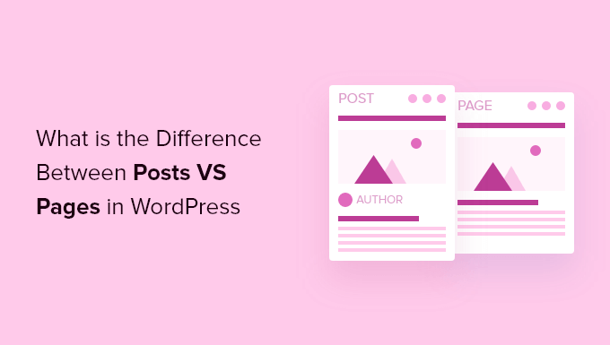 WordPress中的帖子与页面有什么区别？
