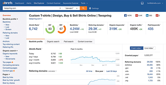 Ahrefs 报告概述