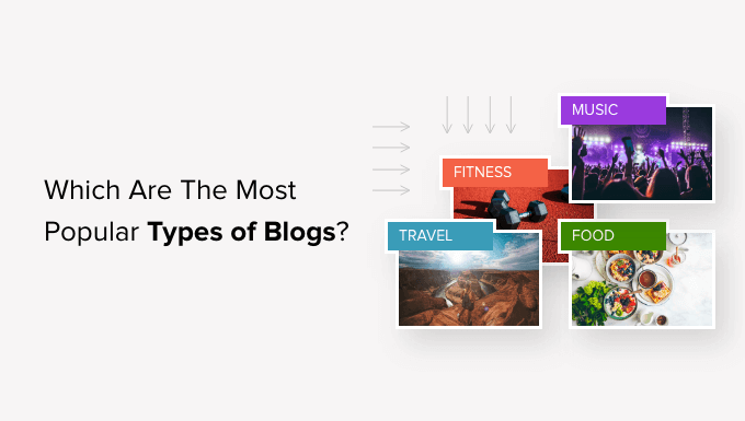 揭示：哪些是最受欢迎的博客类型？
