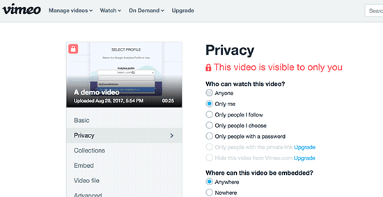Vimeo 视频隐私