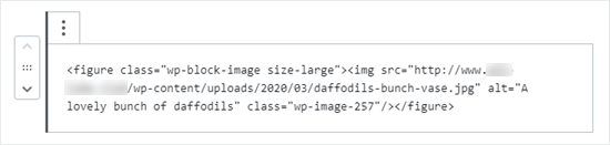 图片的 HTML 代码