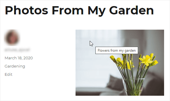 标题为“我花园里的花”的图片