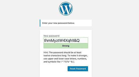 为您的 WordPress 帐户输入新密码
