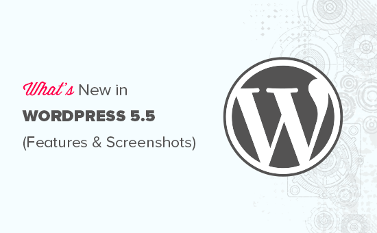 WordPress 5.5 的功能和截图