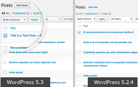 WordPress 5.3 UI 中的表单字段