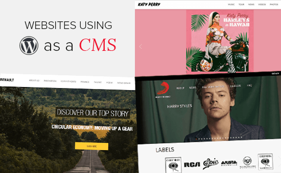 WordPress 作为 CMS：使用 WordPress 作为 CMS 的 25 个示例