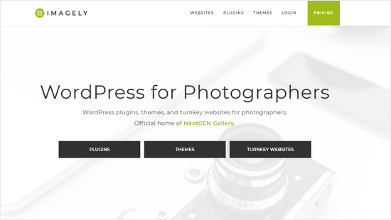 Imagely - 摄影师的 WordPress 产品公司