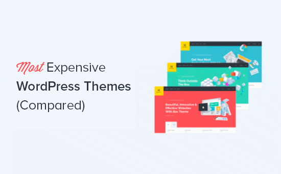 比较最昂贵的 WordPress 主题