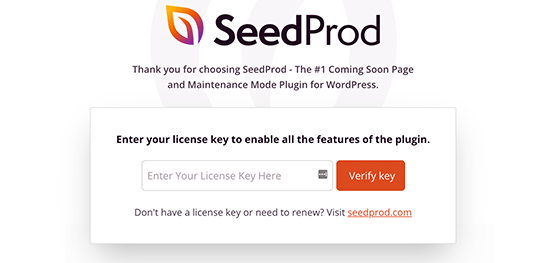SeedProd 许可证密钥