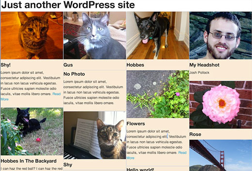 WordPress中砌体网格布局的屏幕截图 WordPress中砌体网格布局的屏幕截图
