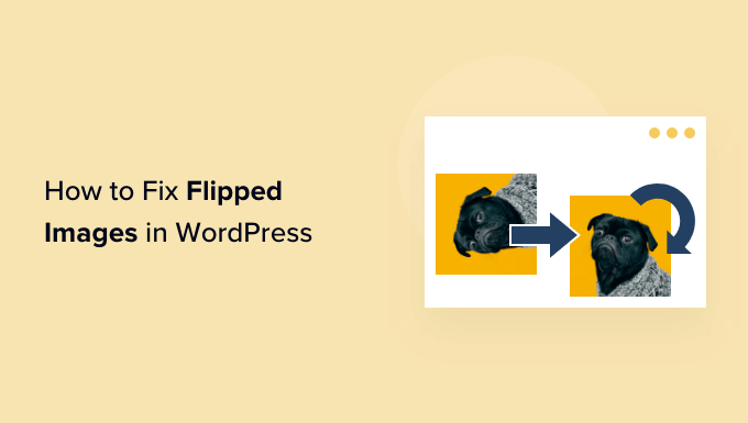 如何在 WordPress 中修复颠倒或翻转的图像